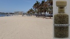 #246 - Playa del Reducto (Lanzarote)
