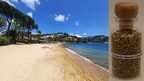 #361 - Tzaneria Beach (Skiathos)